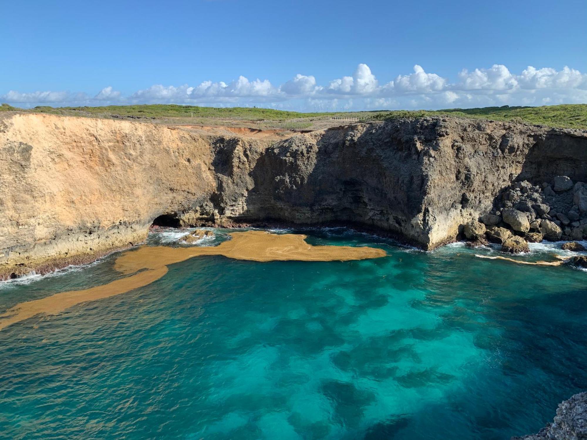 Anse-BertrandLa Maison Creole Du Flamboyant - Proche Des Plages别墅 外观 照片