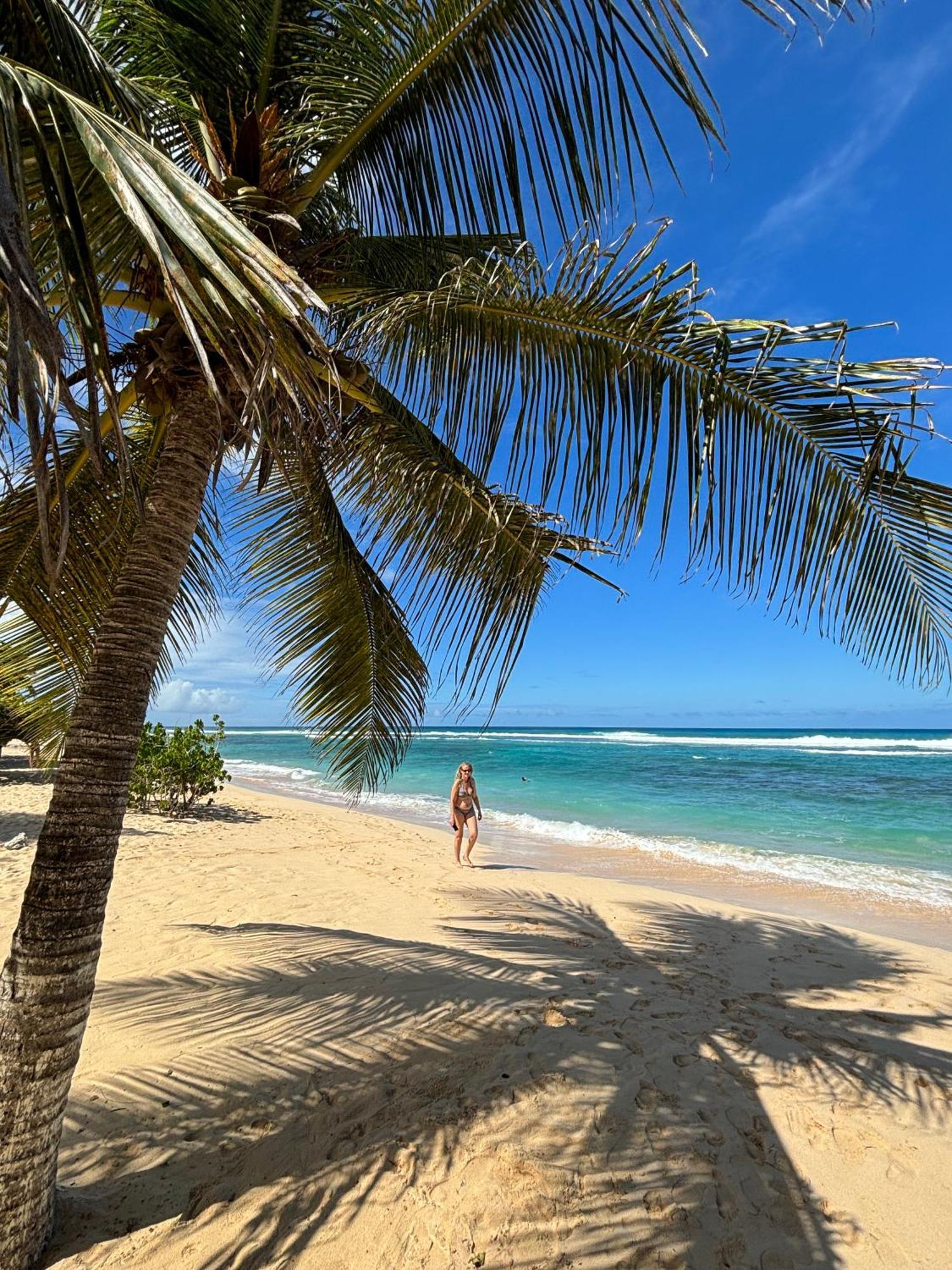La Maison Creole Du Flamboyant - Proche Des Plages Anse-Bertrand 外观 照片