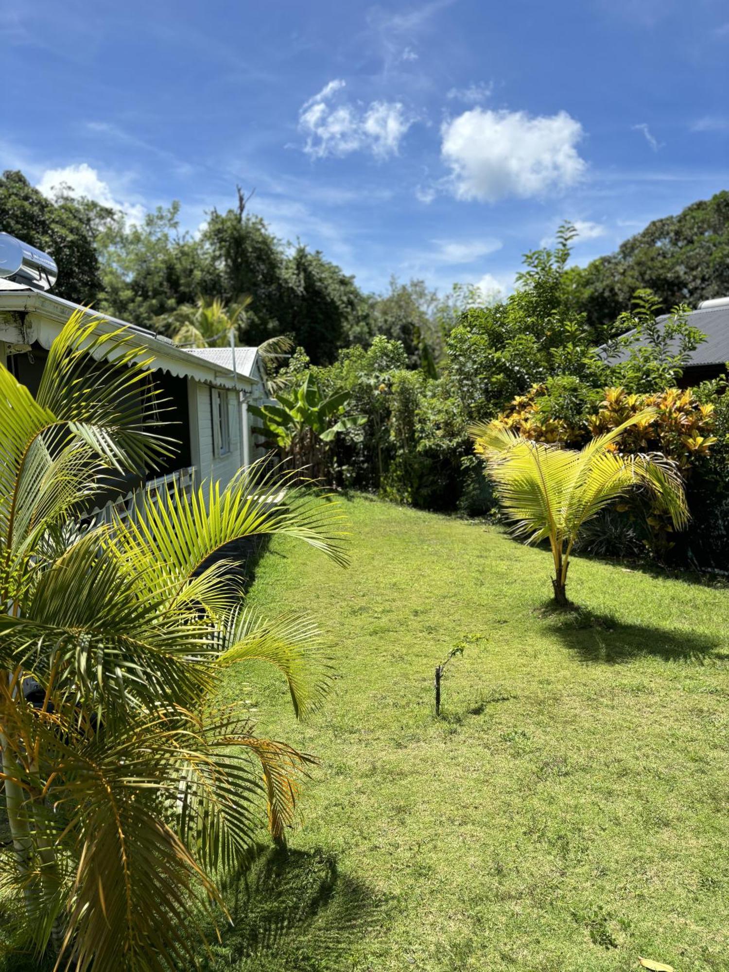 La Maison Creole Du Flamboyant - Proche Des Plages Anse-Bertrand 外观 照片
