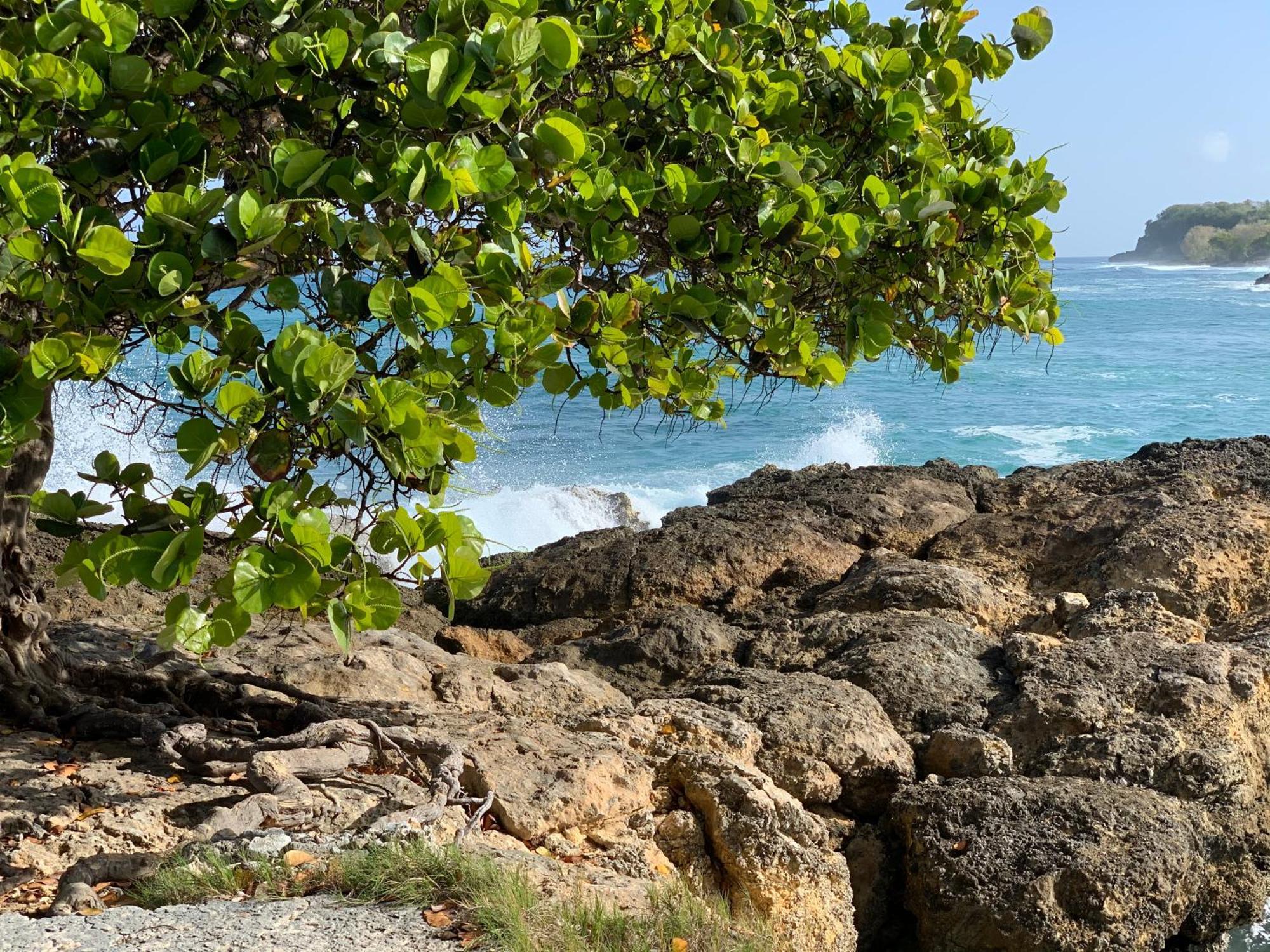 La Maison Creole Du Flamboyant - Proche Des Plages Anse-Bertrand 外观 照片
