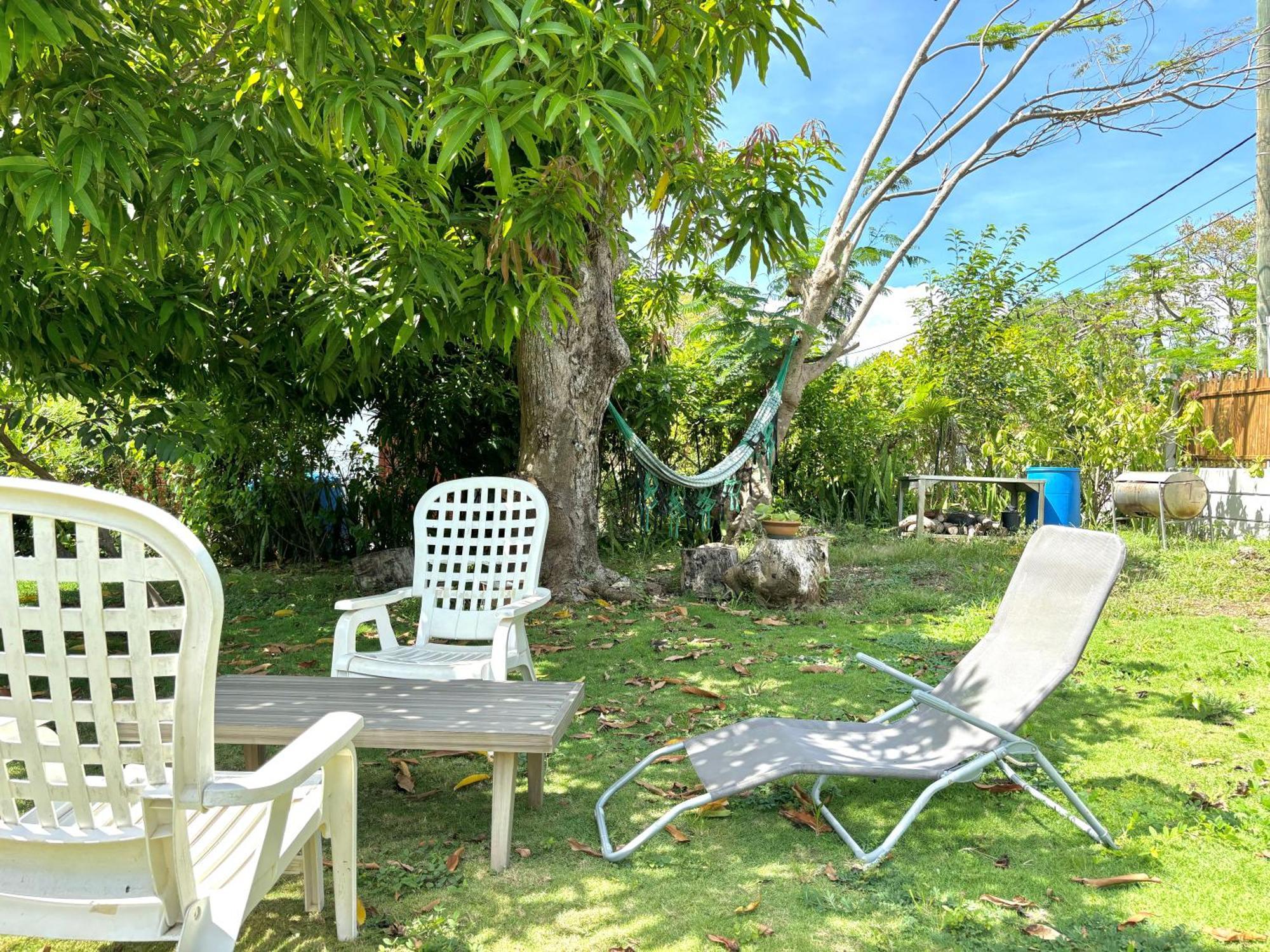 Anse-BertrandLa Maison Creole Du Flamboyant - Proche Des Plages别墅 外观 照片