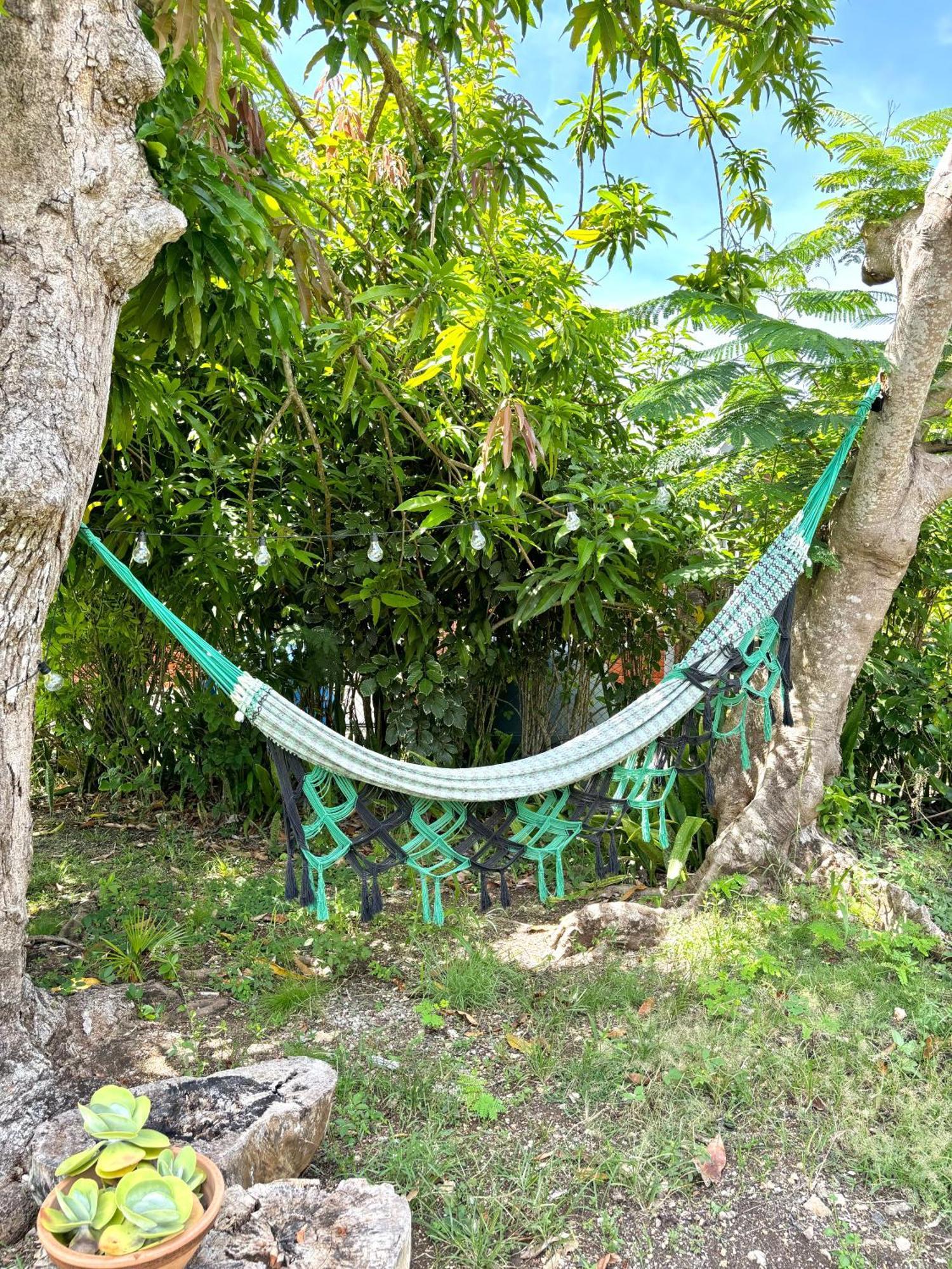 La Maison Creole Du Flamboyant - Proche Des Plages Anse-Bertrand 外观 照片